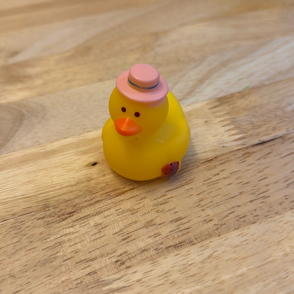 ⛱️2/$5⛱️Top hat Duck with egg